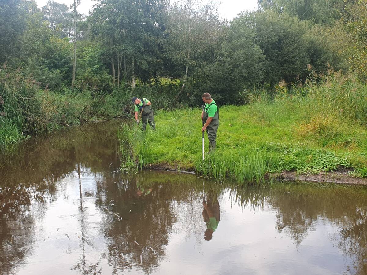 monitoring grote waternavel